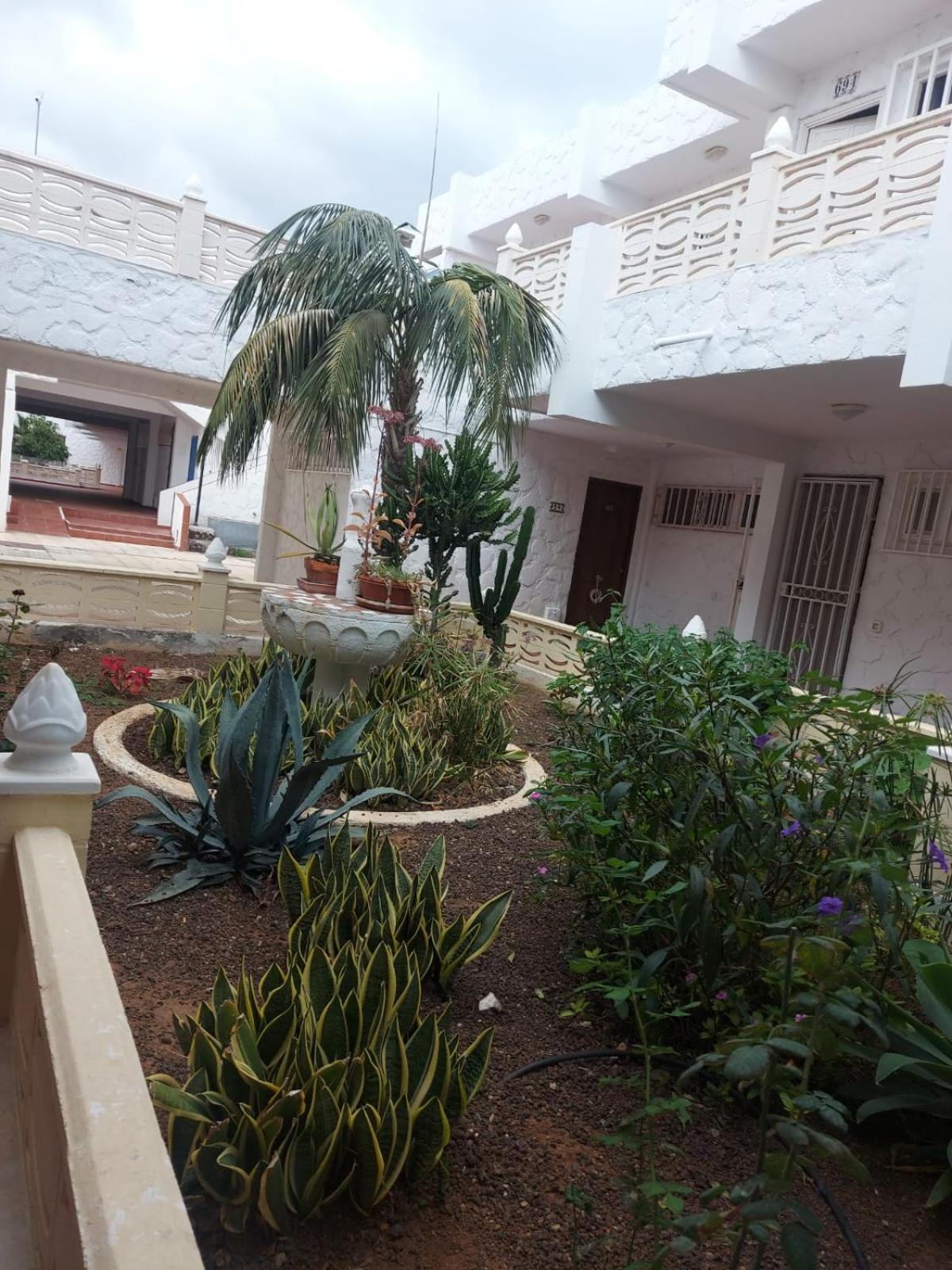 Casa Papagayo Apartamento Arona  Exterior foto